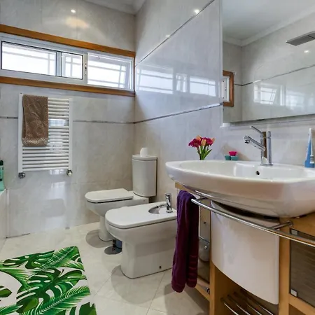Fountain House By Mp